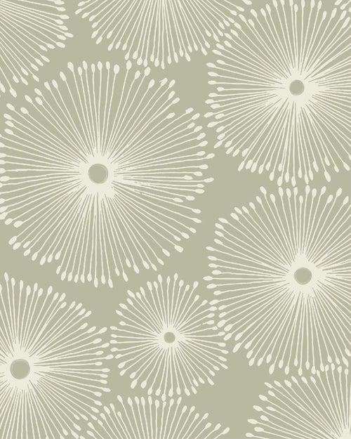 Abstract & Line Art