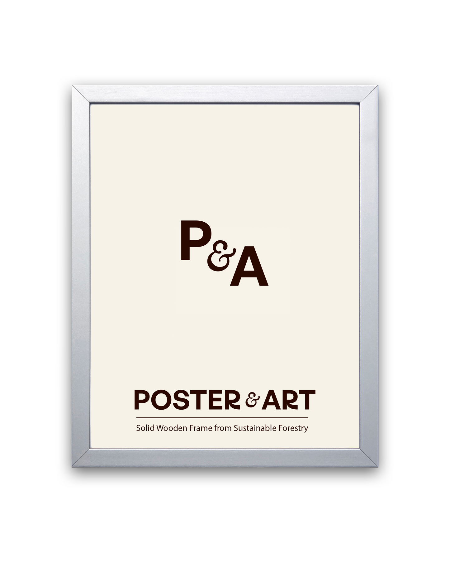 Premium Frame - Silver