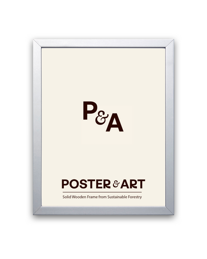 Premium Frame - Silver
