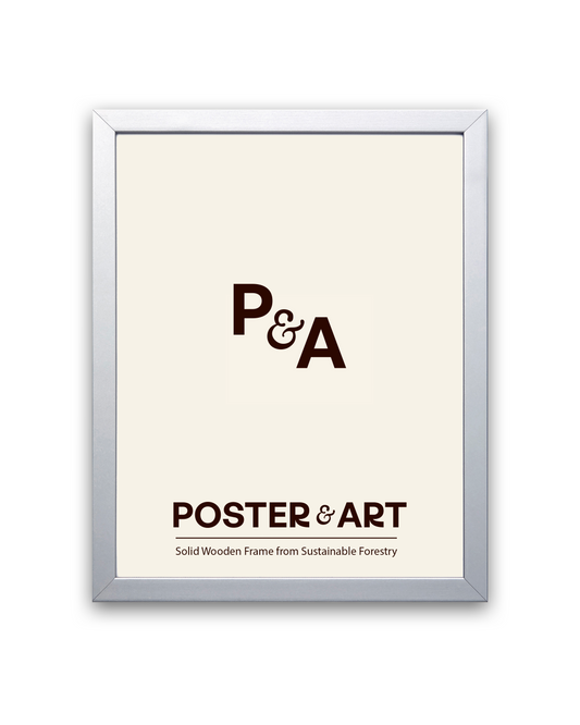 Premium Frame - Silver