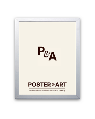 Premium Frame - Silver
