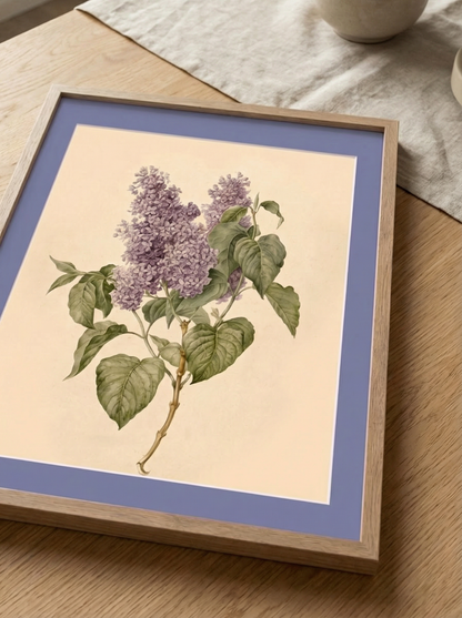 Matboard Lavender