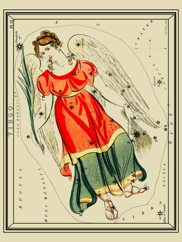 Ipsam ut ullamco elit non quo