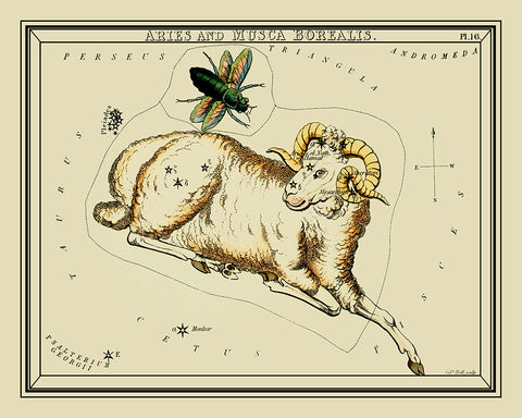 Urania's Mirror Aries and Musca Borealis
