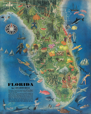 Florida Pictorial State Map