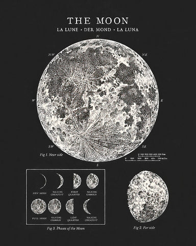 The Moon No3