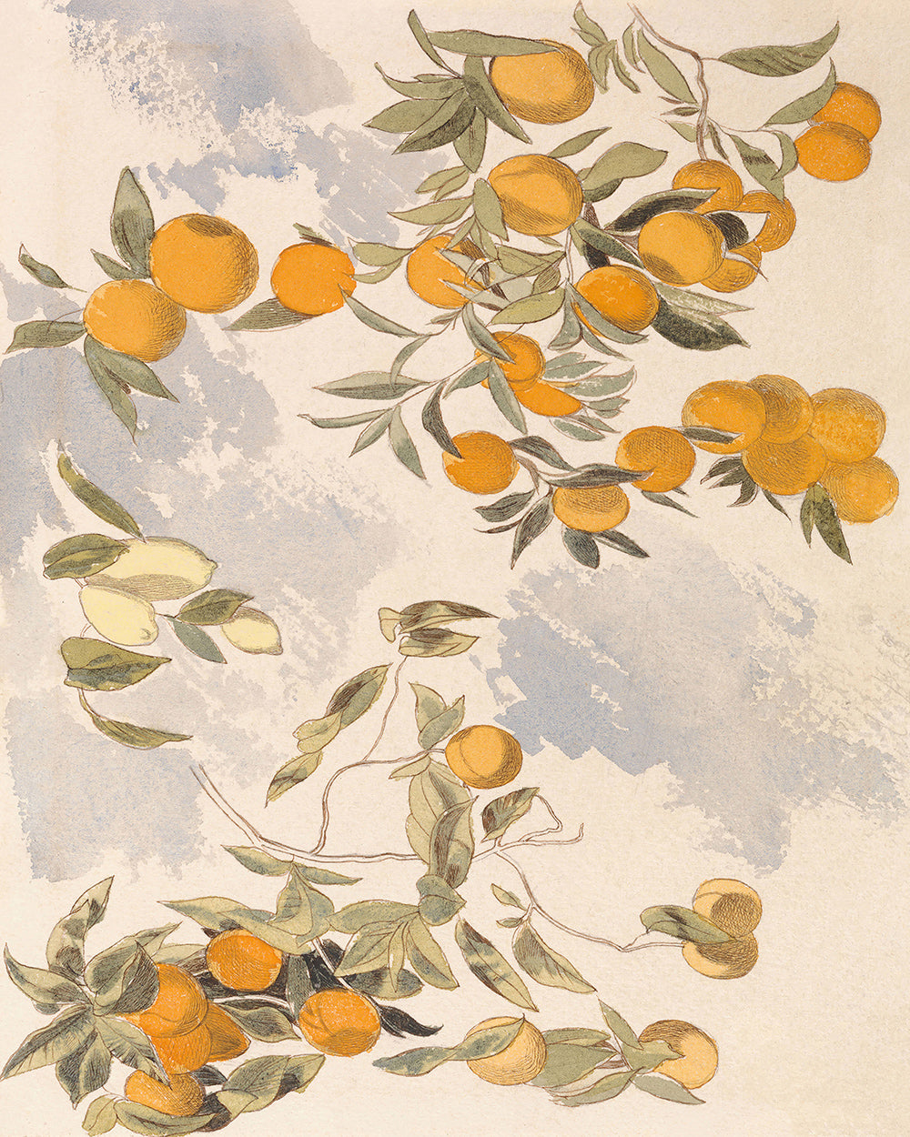Oranges and Lemons