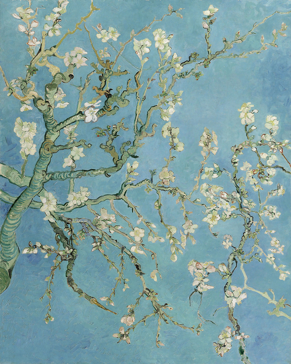 Van Gogh - Almond Blossoms Poster