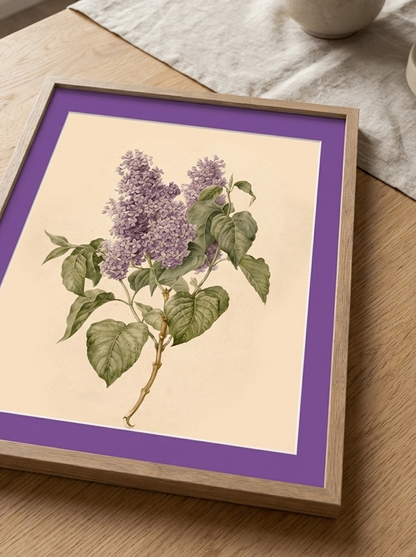Matboard Violet